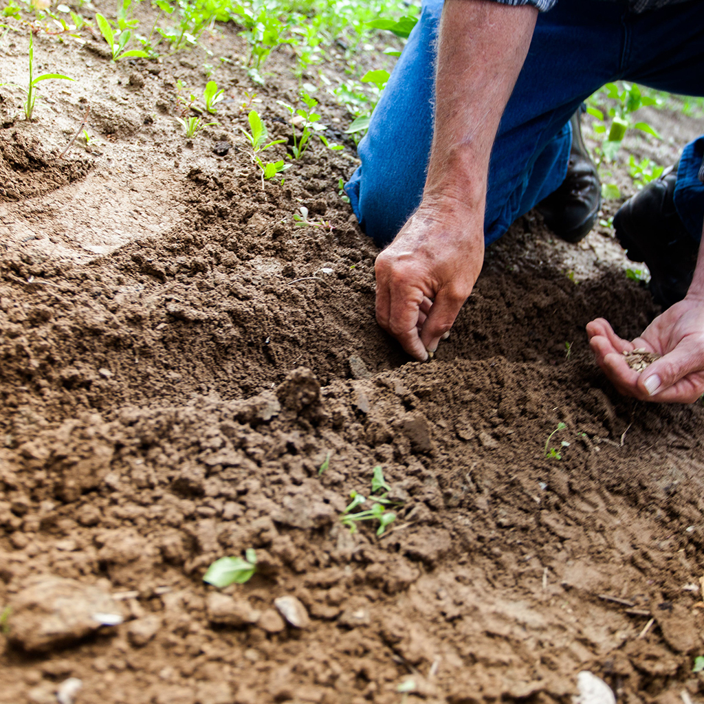 qualite environnementale toulouges