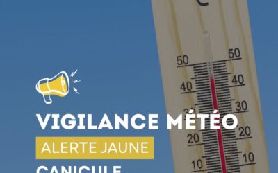 Alerte canicule – vigilance jaune à partir de mercredi 27 mai 12h